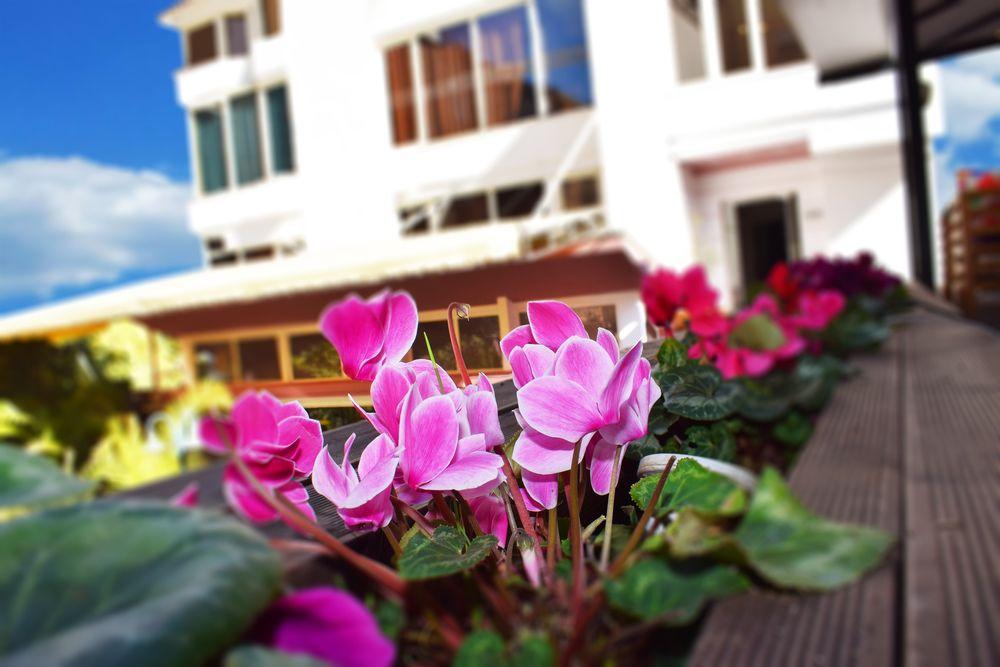 Royal Vila Hotel Тирана Экстерьер фото